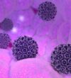 hpv-nedir-nasil-bulasir hpv-nedir-nasil-bulasir